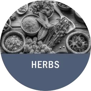 Herbs Pharmacon.in Health & Wellness