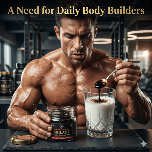 Pharmaloids Original Shudh Himalayan Shilajit Resin Pack of 4 (20 Grams Each) – Ayurvedic Supplement for Energy & Strength, Stamina & Testosterone Level Up