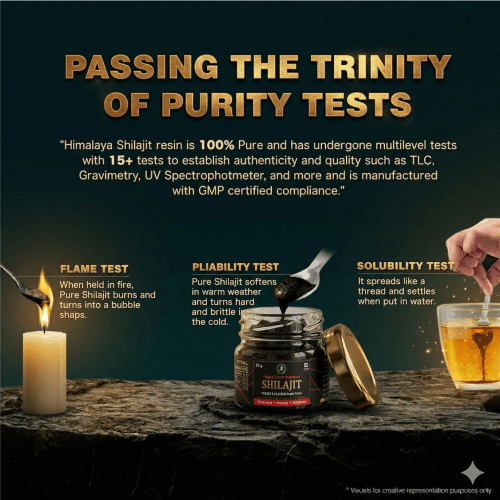 Pharmaloids Shudh Himalayan Shilajit Resin Quality Pass Check